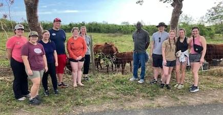 people posing for picture in front of cows in field